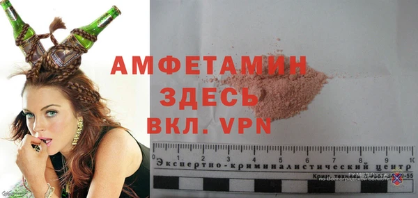амф Горняк