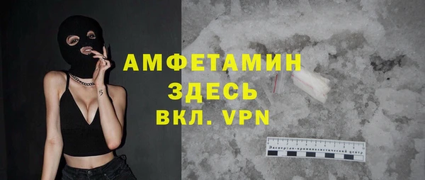 амф Горняк