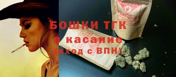 амф Горняк
