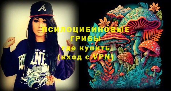 амф Горняк