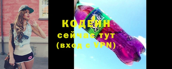 амф Горняк