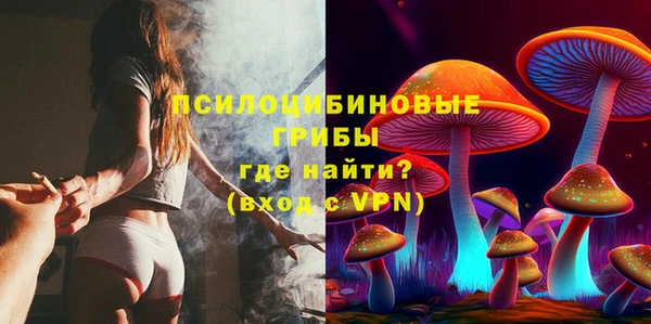 амф Горняк