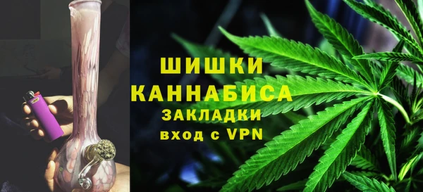 амф Горняк